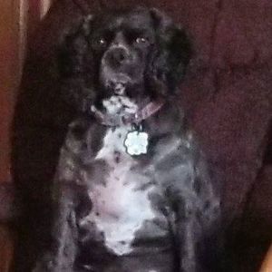 Meet your Posher, Connie